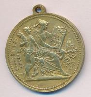 1896. "I. Ferencz József / Millenniumi emlék" emlékérem T:2-,3