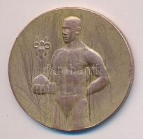 1931. "Magyar Országos Asztalitenisz Szövetség Bajnoki Érem" Br díjérem T:2-