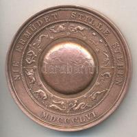 Német Birodalom 1856. "Wilhelm Haidinger" Br emlékérem (63mm) másolat T:2-/2
Germany 1856....