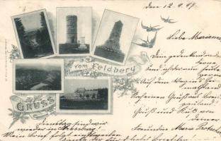 1897 Feldberg (EK)