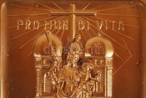 1960 Bronzírozott fém plakett a Müncheni Eucharisztikus Világkongresszus emlékére, fa keretben / 
Me...