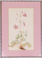 Ismeretlen jelzéssel: Virág. Akvarell, papír, üvegezett keretben, 39x29cm