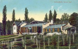 Szliácsfürdő rose grove