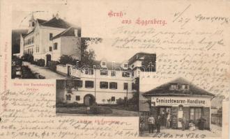 Eggenberg (Graz) with the shop of Johann Kaufmann 'zur weissen Taube'