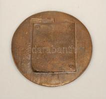 Szabó Gábor (1940-) "Riporter kerestetik! MTV 1982" Br emlékérem (89mm) dísztokban T:2