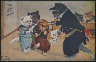 Cats, Studentika s: Thiele