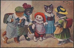 Cats, Studentika s: Thiele (small tear)