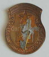 ~1960. "Közgazdasági Technikum Szeged" festett iskolajelvény T:2