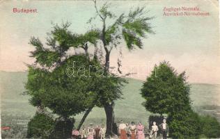 1907 Budapest Normafa