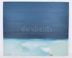 Csavlek András (1942-) Munkácsy-díjas: A víznél. Olaj, farost, jelzett, 50×60 cm