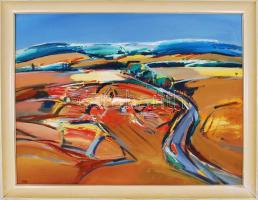 Végh András (1940-): Aratás után 1979. Olaj, farost, jelzett, keretben, 66×86 cm