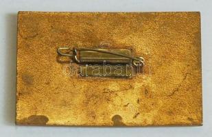 Szovjetunió 1970. "11. Nemzetközi Gázkonferencia Moszkva" zománcozott aranyozott jelvény T...