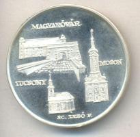 Lebó Ferenc (1960-)/ Szabó Géza (1939-) 1989. "Mosonmagyaróvár 50 éves" Ag(0.900) emlékérem (42,5mm) T:PP