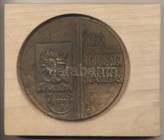 1981. "XIX. Országos Ifjúsági Bélyegkiállítás Kaposvár" Br emlékplakett (90mm) szign.: G, fa tartóban T:2