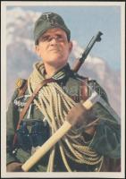 German mountain unit WWII., colorful