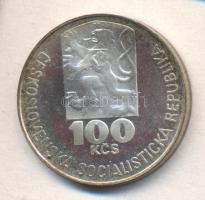 Csehszlovákia 1978. 100K Ag "Julius Fucik" plasztiktokban T:PP Czechoslovakia 1978. 100 Korun Ag "Julius Fucik" in plastic case C:PP