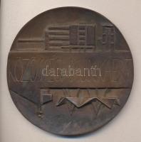 ~1980. "Hajdú-Bihar Megyei Tanács - Közösségi unkáért" Br emlékérem (100mm) T:2