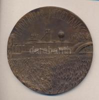 ~1980. "Hajdú-Bihar Megyei Tanács - Közösségi unkáért" Br emlékérem (100mm) T:2