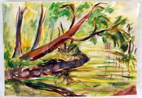 Krizsán jelzéssel: Patak part. Akvarell, papír, 35×50 cm