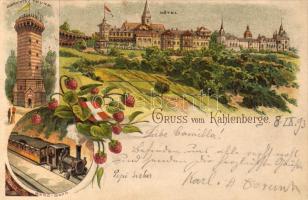 1893! Kahlenberge mit Bergbahn Litho