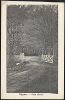 Rigyác park (levágott / cut)