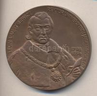 Lengyelország DN &quot;Leon Laurysiewicz rektor&quot; Br emlékérem (70mm) T:2 Poland ND &quot;Leon Laurysiewicz Rektor Uniwersytetu Jagiellonskiego 1798-1854&quot; Br medallion (70mm) C:XF