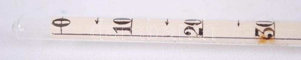 Sűrűség mérő folyadékok számára, eredeti tokjában, h:26 cm