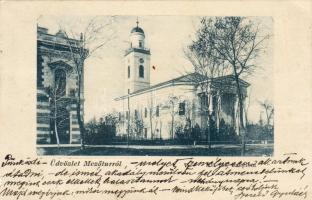 1905 Mezőtúr hosszúcamzéses