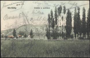 Révfülöp szőlők