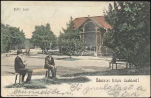 Békéscsaba Petőfi liget (ázott / wet damage)