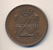 Németország DN &quot;Pfaffenberg&quot; Br emlékérem (41mm) T:2 Germany ND &quot;Pfaffenberg&quot; Br medal (41mm) C:XF