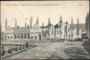 Pécs Országos Kiállítás; Frigyes főherceg pavilon, Mezőgazdasági csarnok