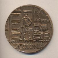 1991. Colonia Biztosító Rt. Br emlékérem (63mm) dísztokban T:2