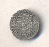 1498-1503. Denár "II. Ulászló" T:2
Huszár 805.,Unger I.: 642.b
