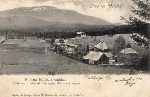 1905 Árva Polroha fürdő (hátoldal sérült)