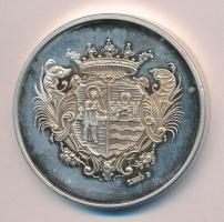 Lebó Ferenc (1960-) 2010. "20 éves a Vill-Korr Hungária Kft / 1990-2010" ezüstözött fém em...