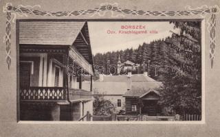 Borszék Villa Kirschleger