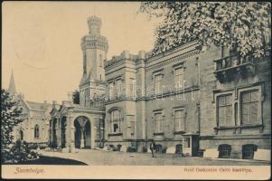 Zsombolya Csekonics castle