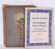 2db kotta: Johann Strauss: An der schönen blauen Donau, Bruxelles-London-Leipzig, é.n., Cranz, kottafüzet papírkötésben; Sang und Klang im XIX u. XX Jahrhundert: Klassische und Salonmusik, Berlin, é.n., Neufeld & Henius, kiadói szecessziós festett dombornyomott egészvászon kötésben, kissé viseltes állapotú (a gerince hiányzik) / Music sheets