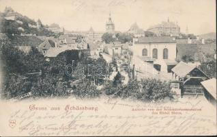 Segesvár castle hill