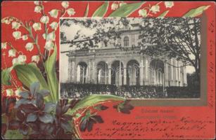 Arad Baross park litho