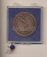 Lapis András (1942-) 1979. "Szegedi árvíz 100. évfordulója - Szeged Megyei Városi Tanács" ...