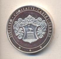 DN "Vas Megye Önkormányzata Szolgálatáért" ezüstözött piefort emlékérem (42,5mm) T:PP ph