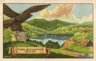 Szovátafürdő, irredenta s: Gebhardt (EK)