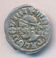 1373-1382. Denár Ag "I. Nagy Lajos" (0.61) T:2-
Huszár 547.,Unger I.: 432.a