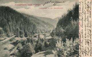 Fenyőháza felső vízfogó / dyke