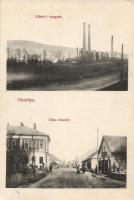 Nyusta Nyustyalikér iron works, the shop of Géza Rosenthal