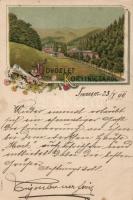 1899 Korytnica litho