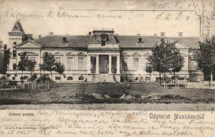 Munkács Palace Kohner (cut)