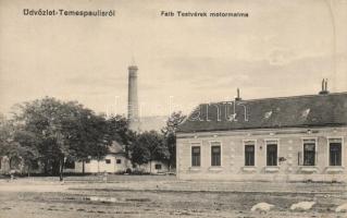 Temespaulis Falb mill